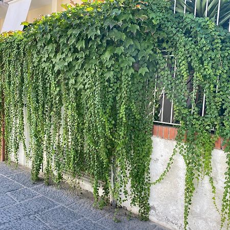 Ammore Ammare Apartment Ischia Luaran gambar